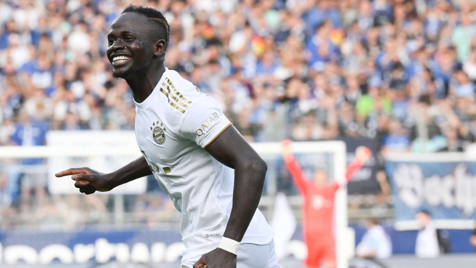 为球队建立 为球队建立