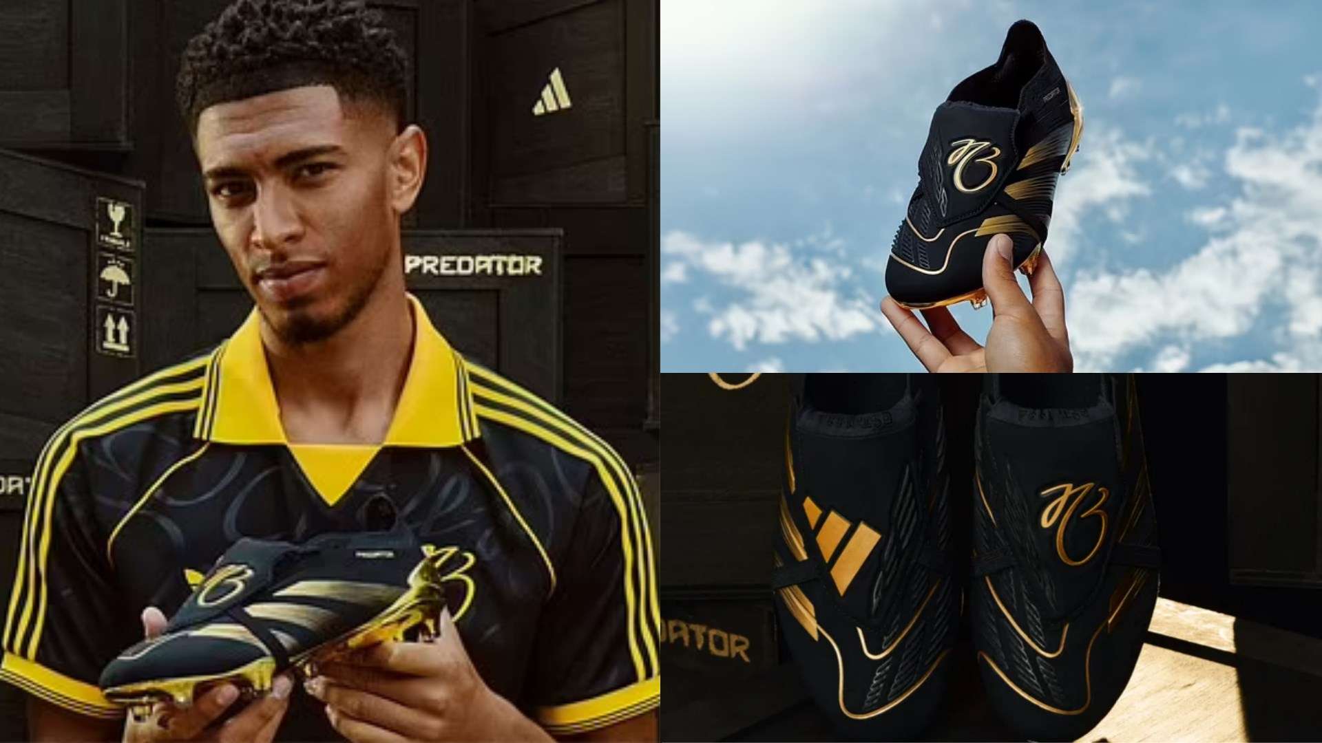 具备良好适 具备良好适